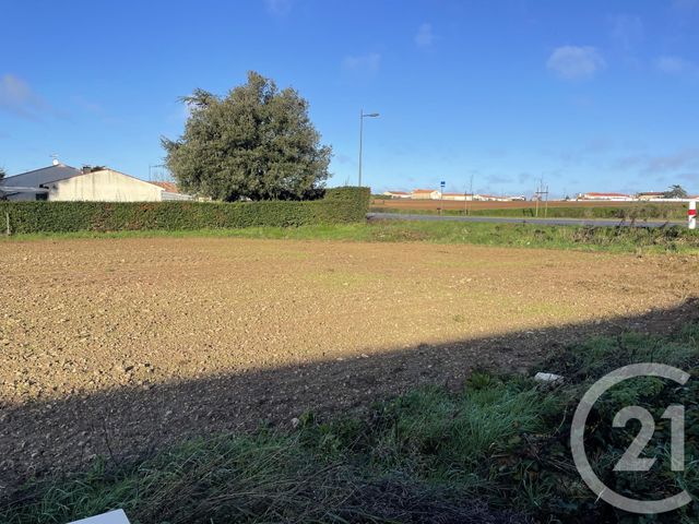 Terrain à vendre - 521 m2 - Longeville Sur Mer - 85 - PAYS-DE-LOIRE